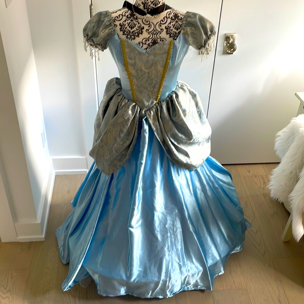 Cinderella Princess Costume Cosplay
